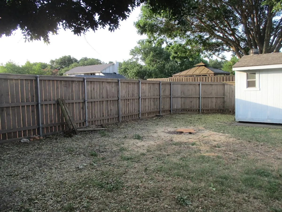 Cleared yard after professional tree removal in Fruitdale